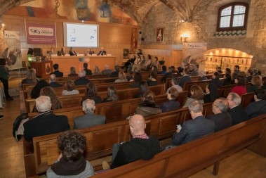 Acto de entrega ayudas 2019