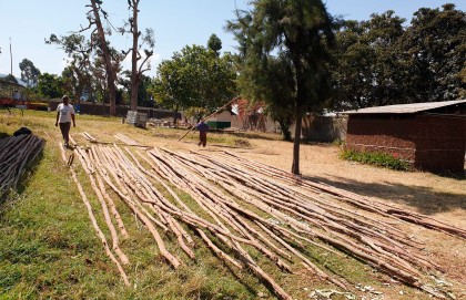 Proyecto de colaboración entre la Fundació Ordesa y Alegría sin Fronteras